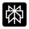 Perplexity icon